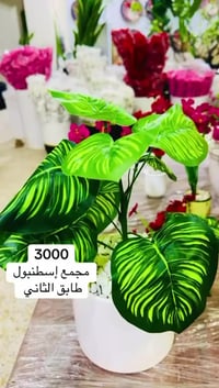 خانقين • مقابل معمل النسيج • مفتحين ٢-١٢م