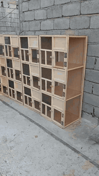 نجار حسام اشتغل حسب الطلب العنوان ديالى بعقوبه رقم واتساب ***********
