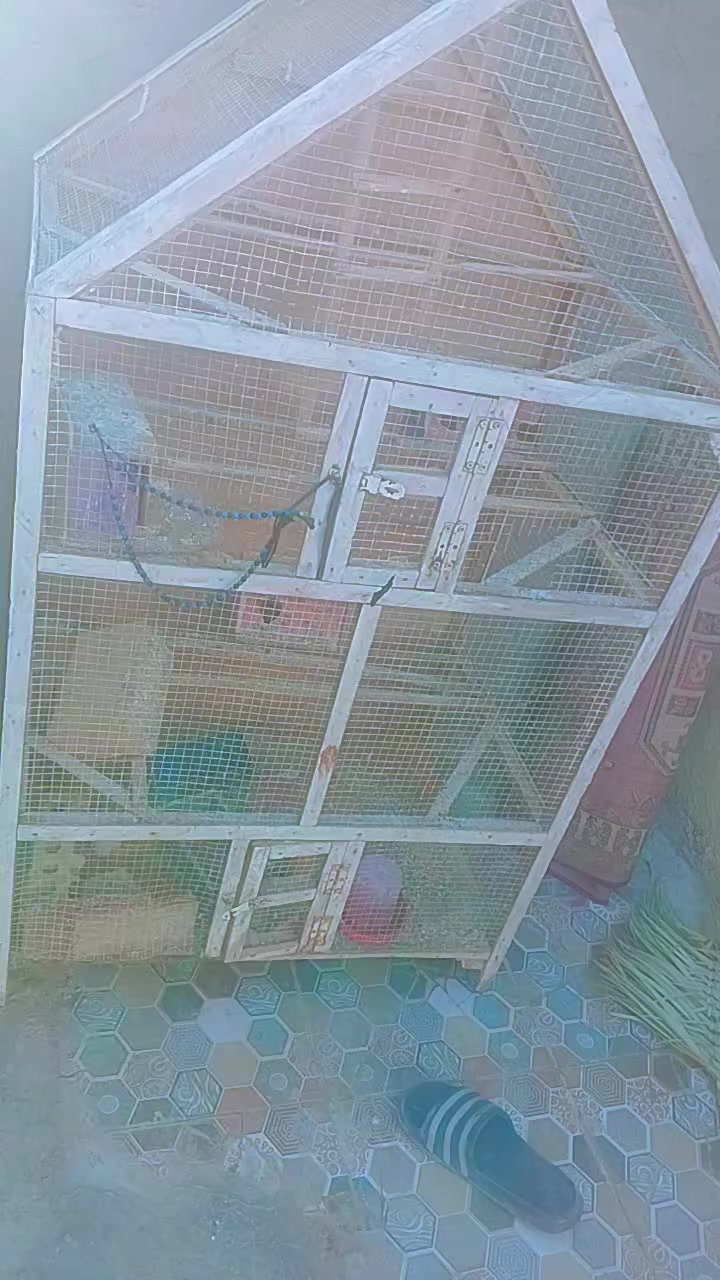 السلام عليكم قفص للبيع كامل بي بيوت سعره اب 30 الشراي يراسني خاص


**إذا كنت صاحب هذا الإعلان وتريد حذفه لأي سبب، رجاءا أرسل رسالة إلى الدعم الفني**