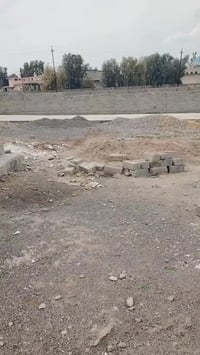 حي الزيتون • ٢٠٠م • سند زراعي