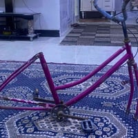 سلة • تاير • سرج