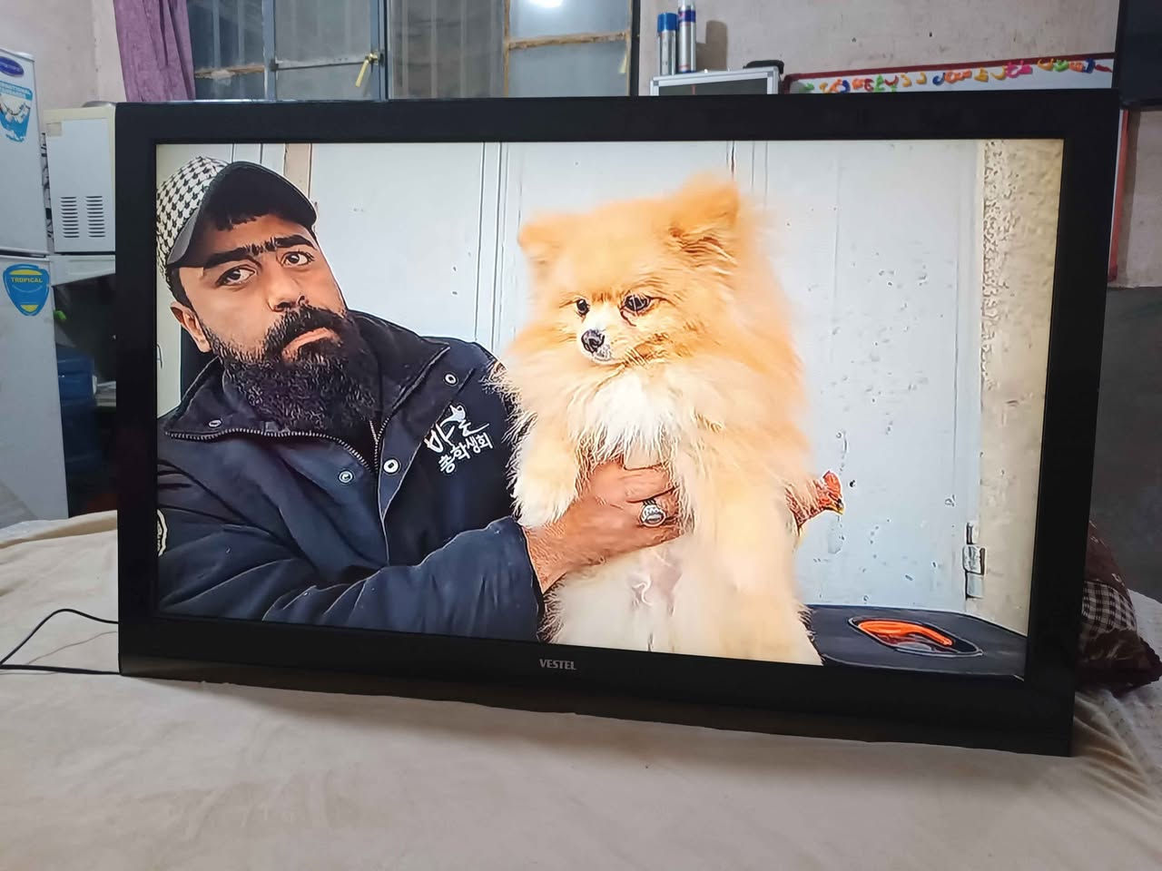 شاشه نوعها فستل اصليه  صناعه كوري حجمها 50 بدون انترنت  الوان طبيعيه وصوت ستيريو قوي فول اج دي شرط النضافه والفحص السعر 180 العنوان كوفه النجف, العراق


**إذا كنت صاحب هذا الإعلان وتريد حذفه لأي سبب، رجاءا أرسل رسالة إلى الدعم الفني**