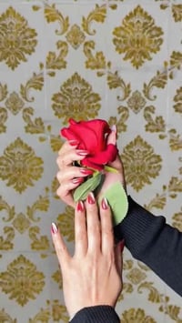 #هلو كيكاتي صباح الورد #عروض عروض يقدمها لكم🎀 سنتر الصبايا 🎀بمناسبة ال...