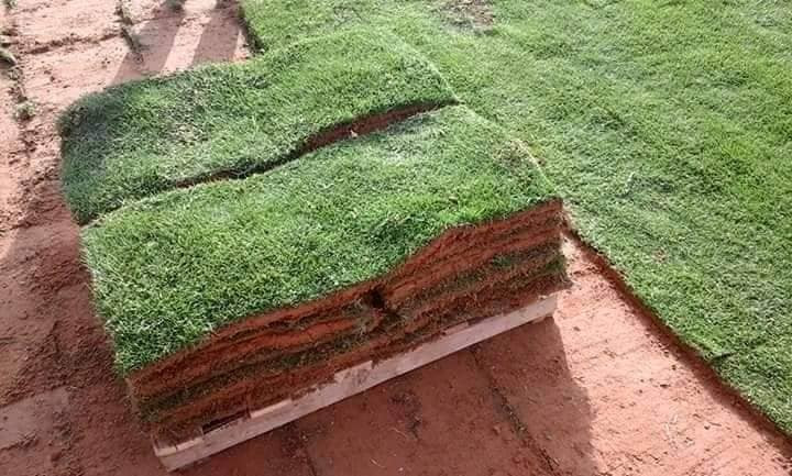 تخفضيات لفترة محدودة (بأسعار مناسبه وتنافسيه ) ✨❤️

انتاج خاص بمزارعنا
حيث الجودة والسعر المناسب 

☘ثيل هندي طبيعي نوعية ممتازة🍀 مناسب للاستخدام في ( المنازل🌳_ الحدائق🌳_ الملاعب🌳_ الدوائر🌿) 

#انتاج_خاص #شكل_مثالي  #سعر_تنافسي

✨ سعر المتر يختلف للكميات الكبيرة ✨

يوجد خدمة توصيل لجميع محافظات العراق 

#ملاحظة : التوصيل مجاني ❤️

(مستعدون لتجهيز الحدائق المنزليه و الملاعب الرياضيه و المنتزهات و الدوائر الحكومية بكادر مختص مميز يجيك لباب بيتك #بأسعار #تنافسيه )
🍁لمعرفة سعر المتر المربع التعليق ب "تم" سوف تصلك رساله 
🍁للاتصال او الاستفسار  متوفر مفتوح طوال اليوم
*********** اتصال
***********واتساب
*********** اتصال
