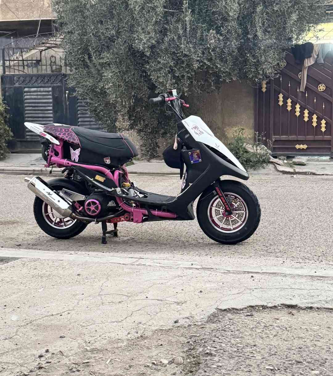 ماكس عدله مال لعب رمضانيه🤩
❗️الدراجه متعوب عليهه مو شراي اعبر المنشور دراجه مناقصه شي نكره سلف بكل وقت دراجه شوفت عينكم بوشه 55 جاهزه من كلشي شلعه معدل شاصي لون وردي صبغ حراري🩷 كلجات جيسو  بيهه دبل خلفي اصلي(مزوعه تزويد)
دراجه تزويد يلي بيهه سعره فوك(400)سعر الدراجه ب  650( بيهه مجال للشراي ) مو شراي لاتراسل مكاني بغداد بياع تقاطع درويش *********** متواجد وتساب و ماسنجر
