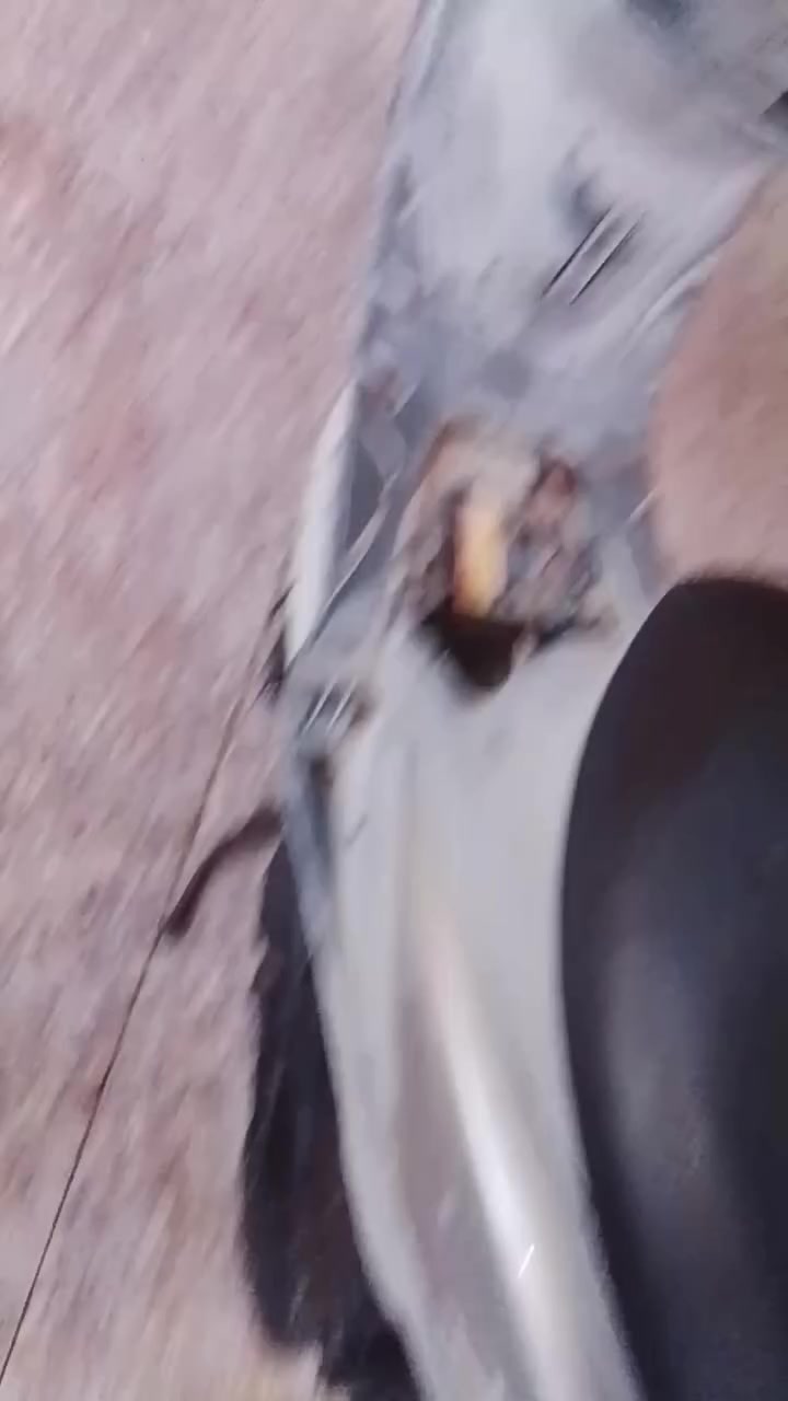 سلام عليكم دراجه لل بيع ماكس منغولي كفالة عامه من مكينه و كلشي بوشه49بلاد رمبه دراجه مالت جناي مداريها فول سعر840بيها مجال حق جيه رقم اتصال ***********
