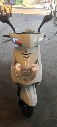 سكنس • ياباني • جاهز