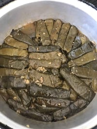 ورق عنب • توزيعات • ديالى