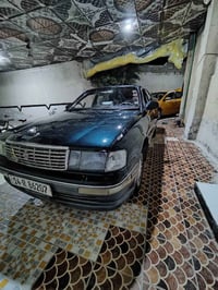 بطة منفصل • اخضر زيتوني • البصرة