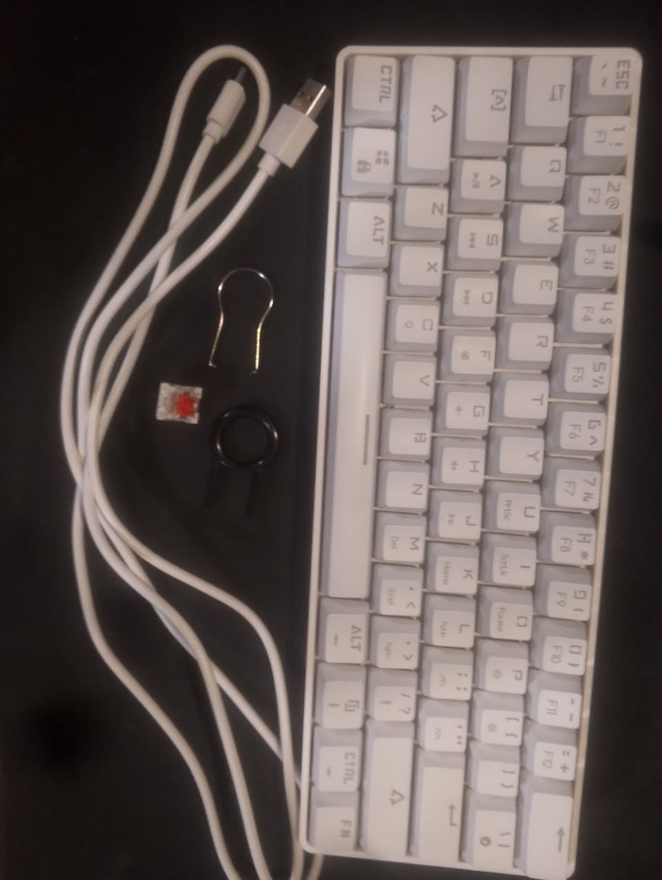 السلام عليكم كيبورد ميكانيكي للبيع
الي يفيدة ينطي بي سعر


**إذا كنت صاحب هذا الإعلان وتريد حذفه لأي سبب، رجاءا أرسل رسالة إلى الدعم الفني**