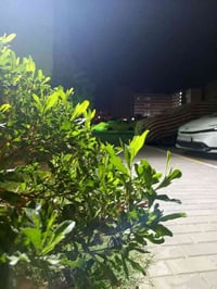 الي محتاج عامل ينظف البنايات يتواصل واتساب 07717030532