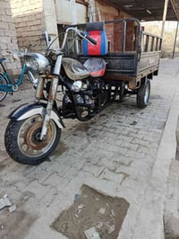 ستوته • ٢٠١٣ • شاميه