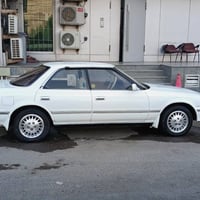 موديل ١٩٩١ • رقم بصره • مصبوغه جماليه