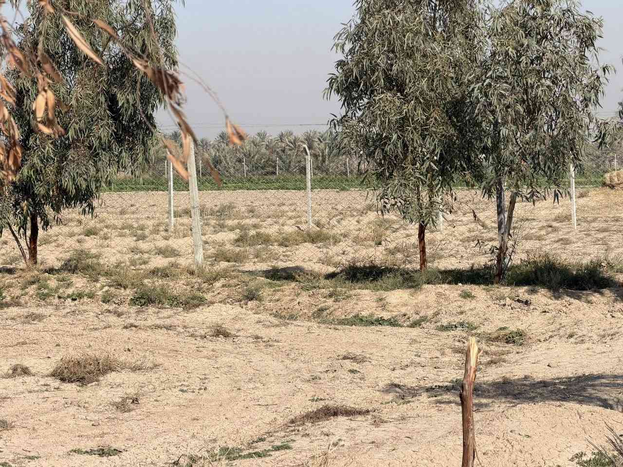 🌟 للبيع أراضي طابو زراعي سند 25 🌟
المساحة: دونمين ونصف
الواجهة: 65
سنتر على التبليط الفرعي 
الخدمات: كافة الخدمات متوفرة
العنوان: طريق حلة نجف قرب البوابة
للاستفسار: ***********

🔥 فرصة استثمارية ممتازة! لا تفوتها! 😍
