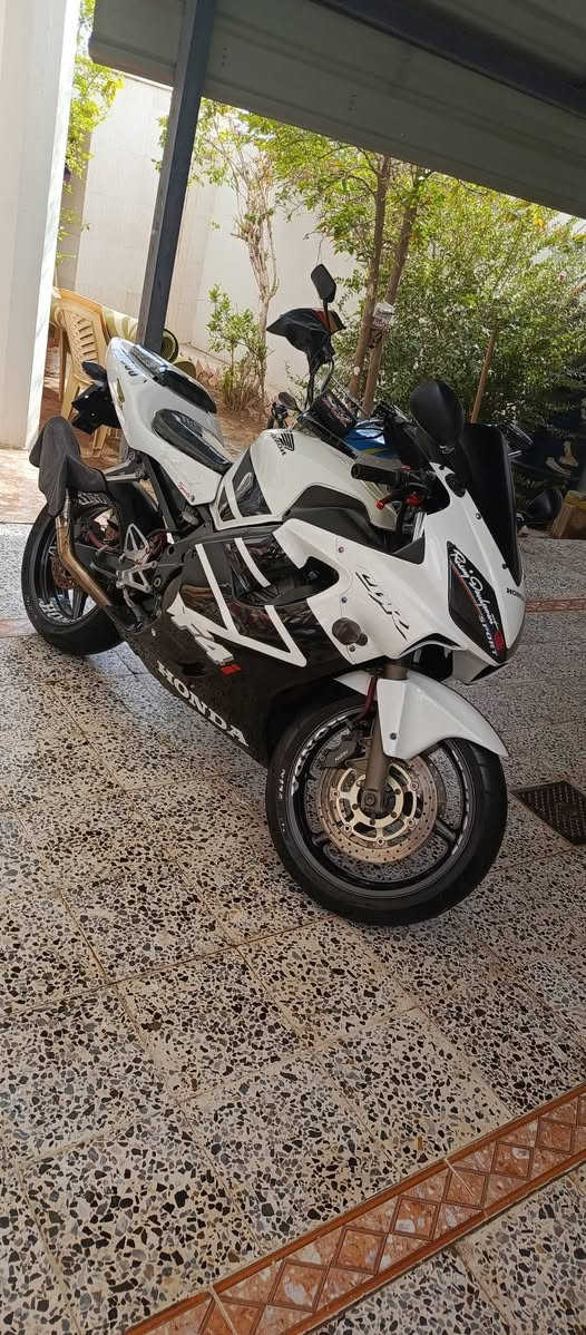 افوراي كفاله عامه
سنويه كربلاء 
40$ وبيها مجال
#موقعها  الانبار الرمادي

للتواصل ***********
