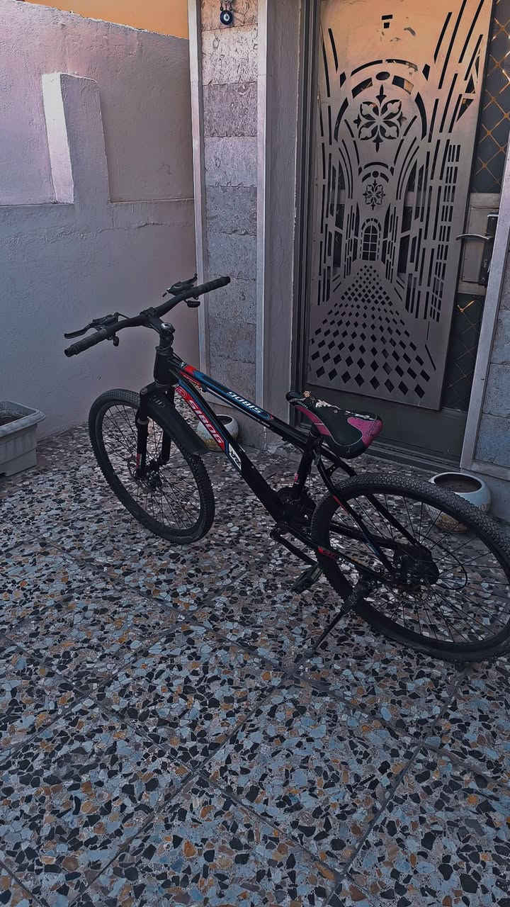 السلام عليكم ورحمة الله وبركاته  عندي3بايسكلات للبيع اي استفسار اتصلو على الواتساب
***********
