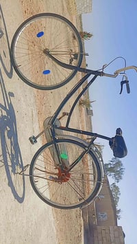 بايسكل • سومر قرب ابن العباس