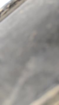 تايكر • ٢٠٢٠ • وزن ثقيل