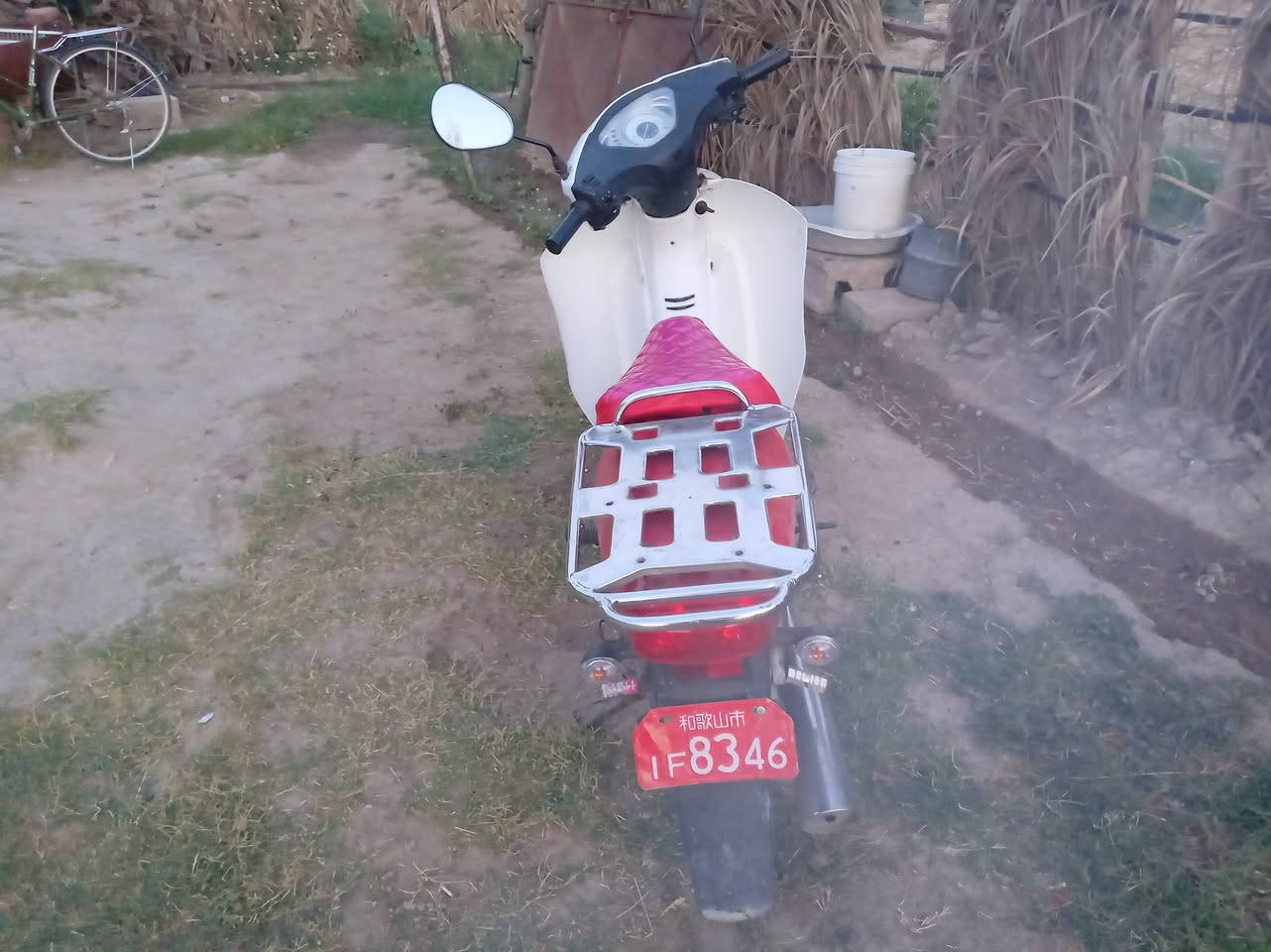 سلفيز للبيع كفاله عامه سعر 525 وبيه مجال اتصل ***********
