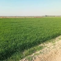 من رخصة الادمن عندي مشروع مربح  وريد شريك معي  لكي أنجز المشروع إلي يح...