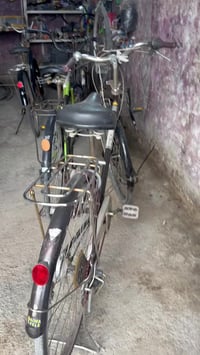 بايسكلات بناتي • عدد ٧ • مع غراض