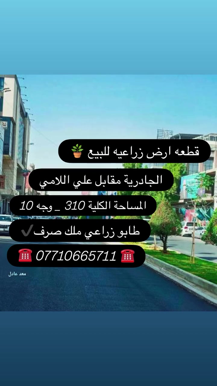 ☎️ *********** ☎️
