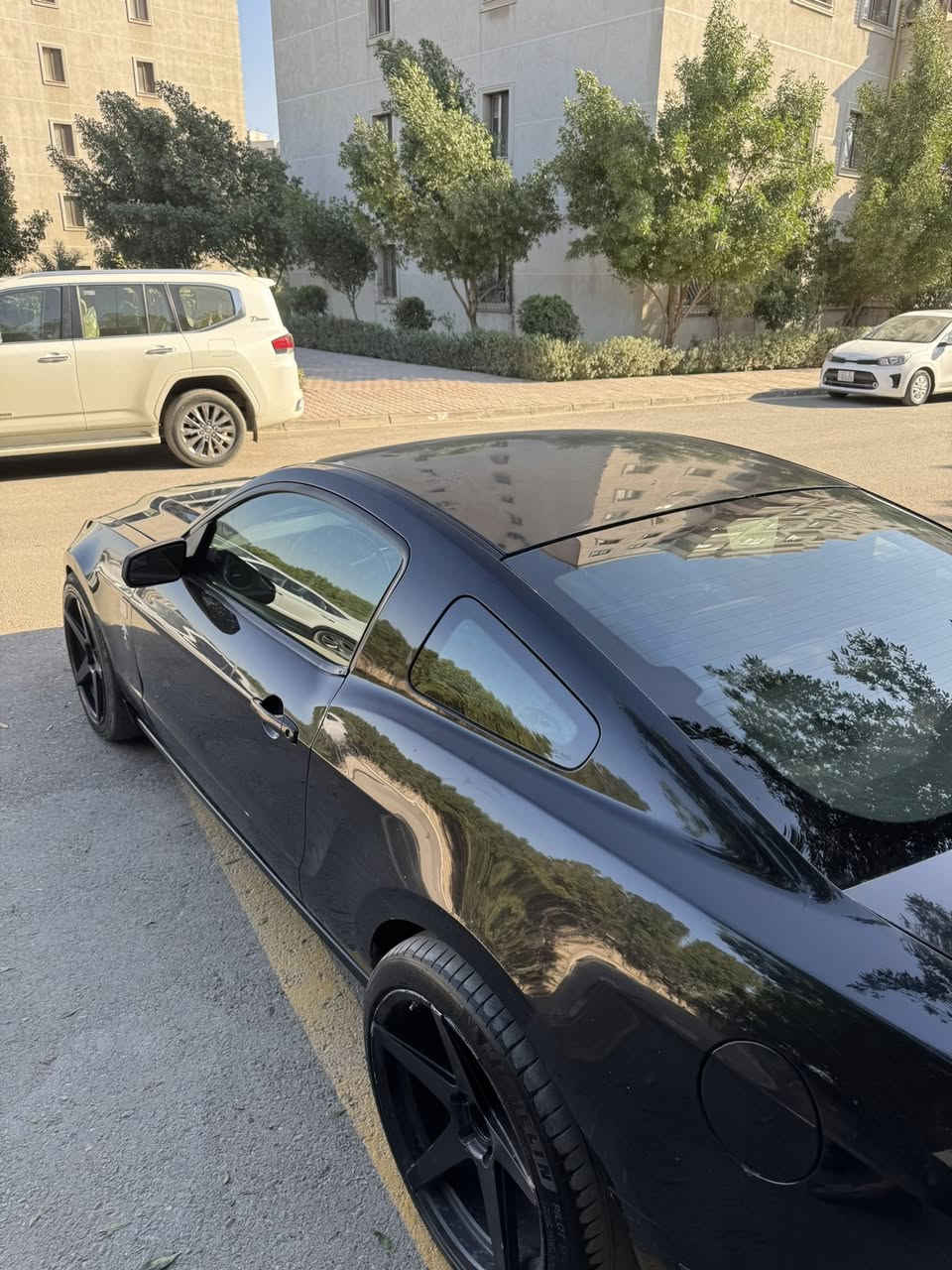 سلام عليكم
سلام عليكم(رمضان كريم عليكم )

موستنك 2013 

رقم بغداد 

محرك 6 سلندر 

ماشيه 90 الف مايل 

بجم شلبي / دفيوزر 

عليه اكزوز كامل وبوبات 

بيه برمجه ببكورن وطلق 

حادثه جاملغ امامي وبيه ملاحضات بسيط من ناحية بدي

الويل تو سايز

مكان سيارة بغداد حي العدل 

الرقم :***********

السعر 90 ورقة وبيه مجال  لناس الطيبة وسيارة متعجبك اعبر منشور وان شاء الله تحصل احسن منه
