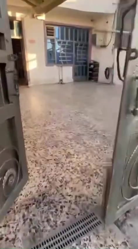 بيت للبيع منطقة جسر ديالى
سند٢٥
مساحه 200 متر 
ستقبال 6 وربع × 3 ونص 
صاله 3 × 9
مطبخ 3ونص × 3ونص
غرفه نوم 4 × 4
غرفة نوم 3ونص ×5
ترك 7 × 5
للاستفسار 
*********** 
***********
