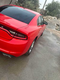 جارجر • أحمر طماطي • ٢٠٢٣