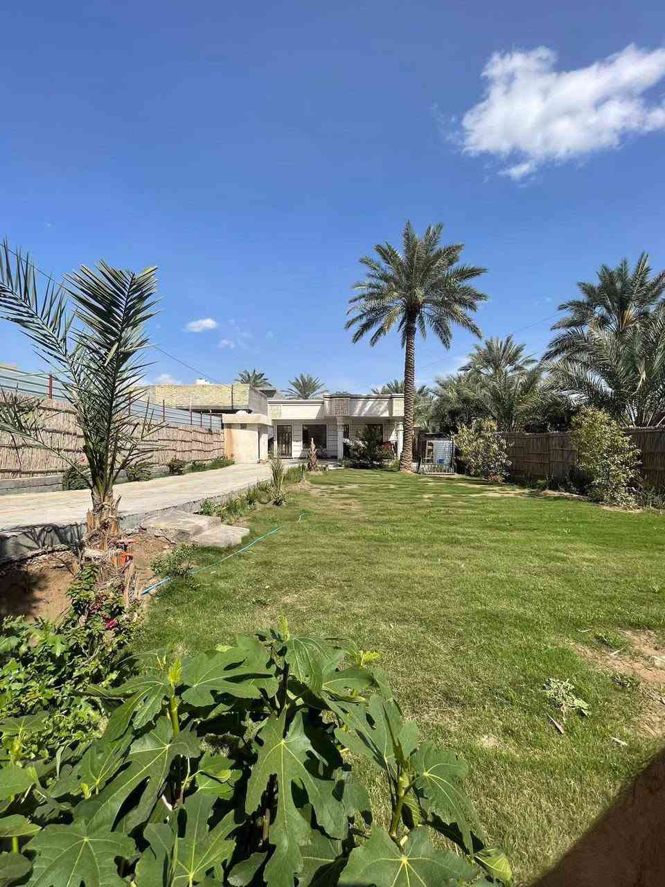 سلام عليكم
دار للبيع  🚞  بسعر مناسب 

مساحه 550  متر واقع حال 850  متر واجه ١٨ متر طابو زراعي سند 25 عله طابو المحموديه تصلح سكن او استثمار بناء حديث ٣ غرف نوم حمامات  2 بناء سنه 2024 العنوان خلف بانزين خانه حي الصفاء قرب حولي المحموديه تبليط الباب البيت مدرسه قريبه  ماء خطين +بير السعر 155 مليون الاستفسار الاتصال صاحب البيت ***********
