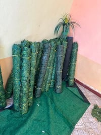 وتساب • ديكور • حديقة