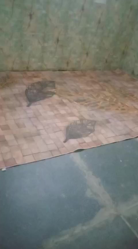 السلام عليكم  بيت 250 بلنهروان مقبيل نازحين خط  ثاني تبليط  وكهرباء ماءوسحب  بيت عكاده  مكلف بنشر،ـ
***********
