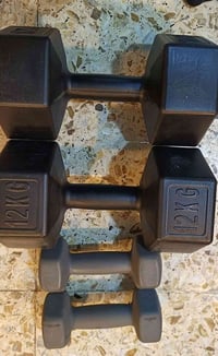 زوج دمبل • ٢٤كغ • ١٠كغ