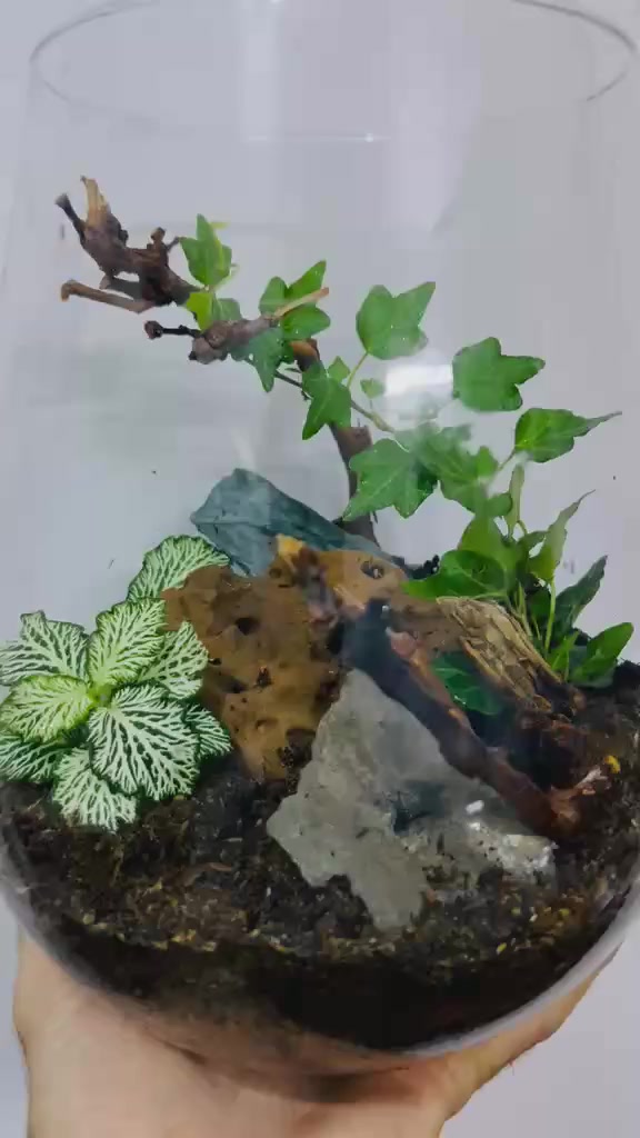 السلام عليكم رمضان كريم وصيام مقبول
اخوان الي يريد هيج تحف بأي حجم واي تفاصيل مستعد الاخ أحمد خضر يوفرهن آلى بكافة التفاصيل والقياسات والاسعار مناسبة جدا حبيت الكل تستفاد لأن اني طلبت منه وإن شاء الله هم راح اخذ منه قياس اكبر .كل التوفيق والنجاح عمي شغل ولاغلطة .طبعا الفيديوهات هذا الشغل ماكامل بعد اكو اضافات تحياتي لكم جميعا 
@الجميع 
@إشارة


**إذا كنت صاحب هذا الإعلان وتريد حذفه لأي سبب، رجاءا أرسل رسالة إلى الدعم الفني**