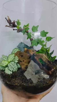 تحف • حسب الطلب • أحمد خضر