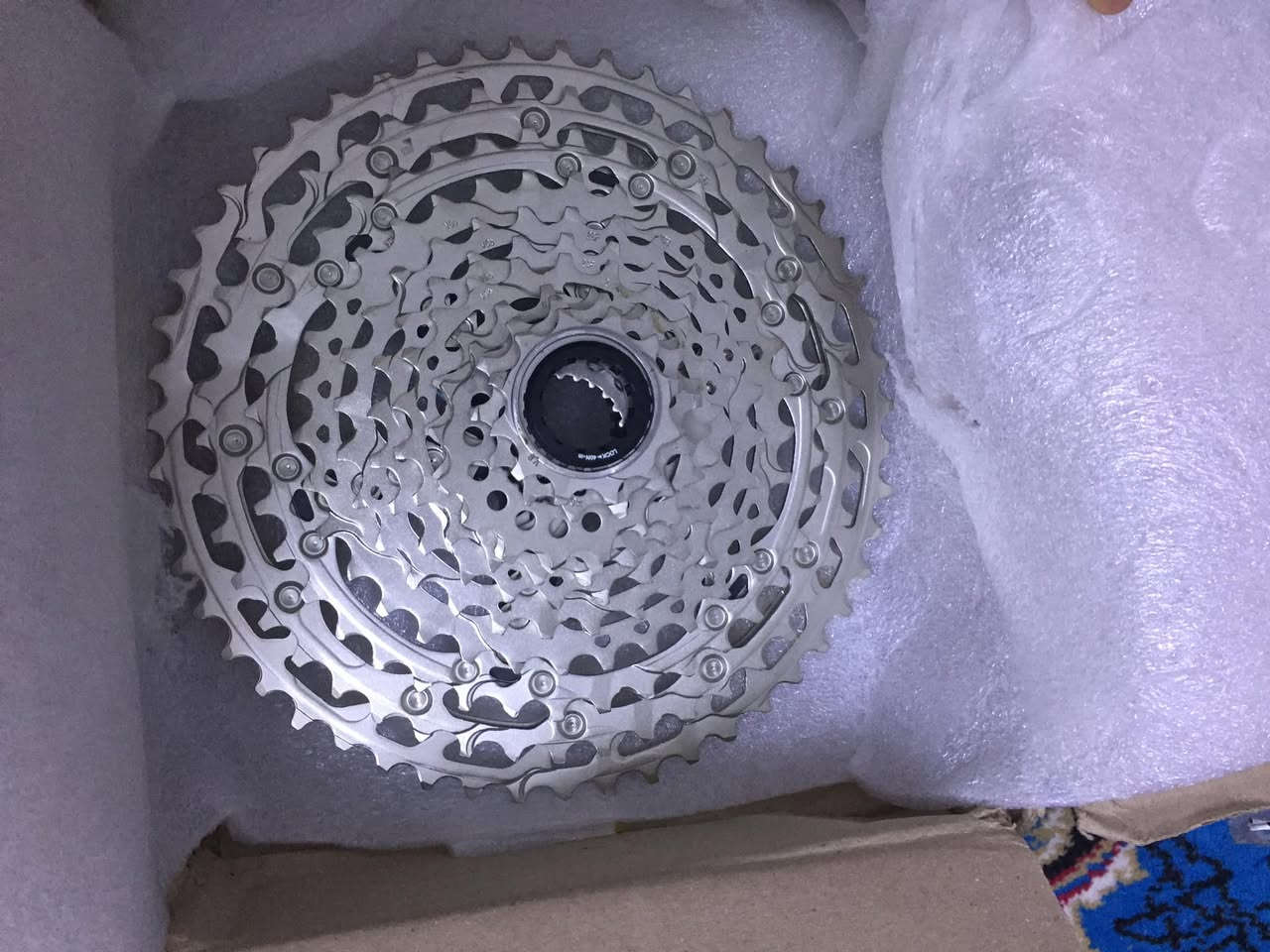 شلعه اعلى سعر بالعافية


**إذا كنت صاحب هذا الإعلان وتريد حذفه لأي سبب، رجاءا أرسل رسالة إلى الدعم الفني**