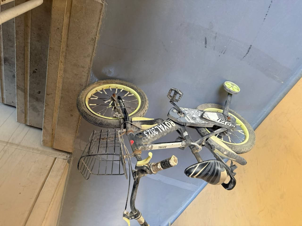 سلام عليكم 
بايسكلات جديدات بعدهن قيم بما يرضي الله مكاني الزعفرانية
***********
