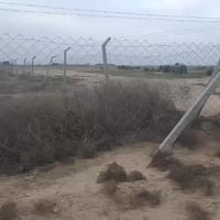 الوسمه • ٥ دوانم • سند ٢٥