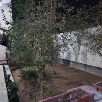 الكوت حي الحكيم • 200م • سند زراعي