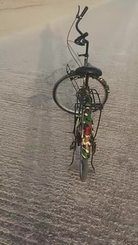 بيسكل • موديل ٢٠٢٤ • كوت زين القوس