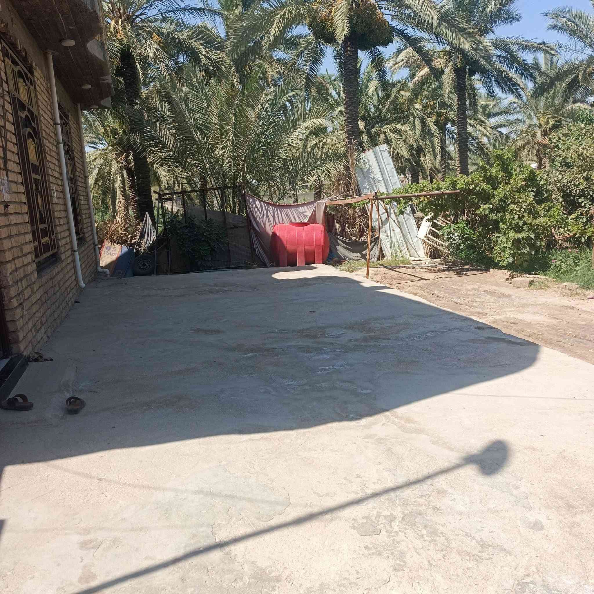 بيت معروض للبيع طابو زراعي المساح الكليه 650مساحت البنا 300بي صاله 13في4ونص بي 2غرف مساحتهن 5في4 ومطبخ5في4كامل البيت بيه بس المطبخ ما كامل المكان قضاه القاسم الجسميه قرب ملعب محمد حسون الاستفسار الاتصال عله الرقم ***********السعر خاص
