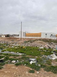 قطعة زراعية • سند ٢٥ سهم • ٢٥٠م