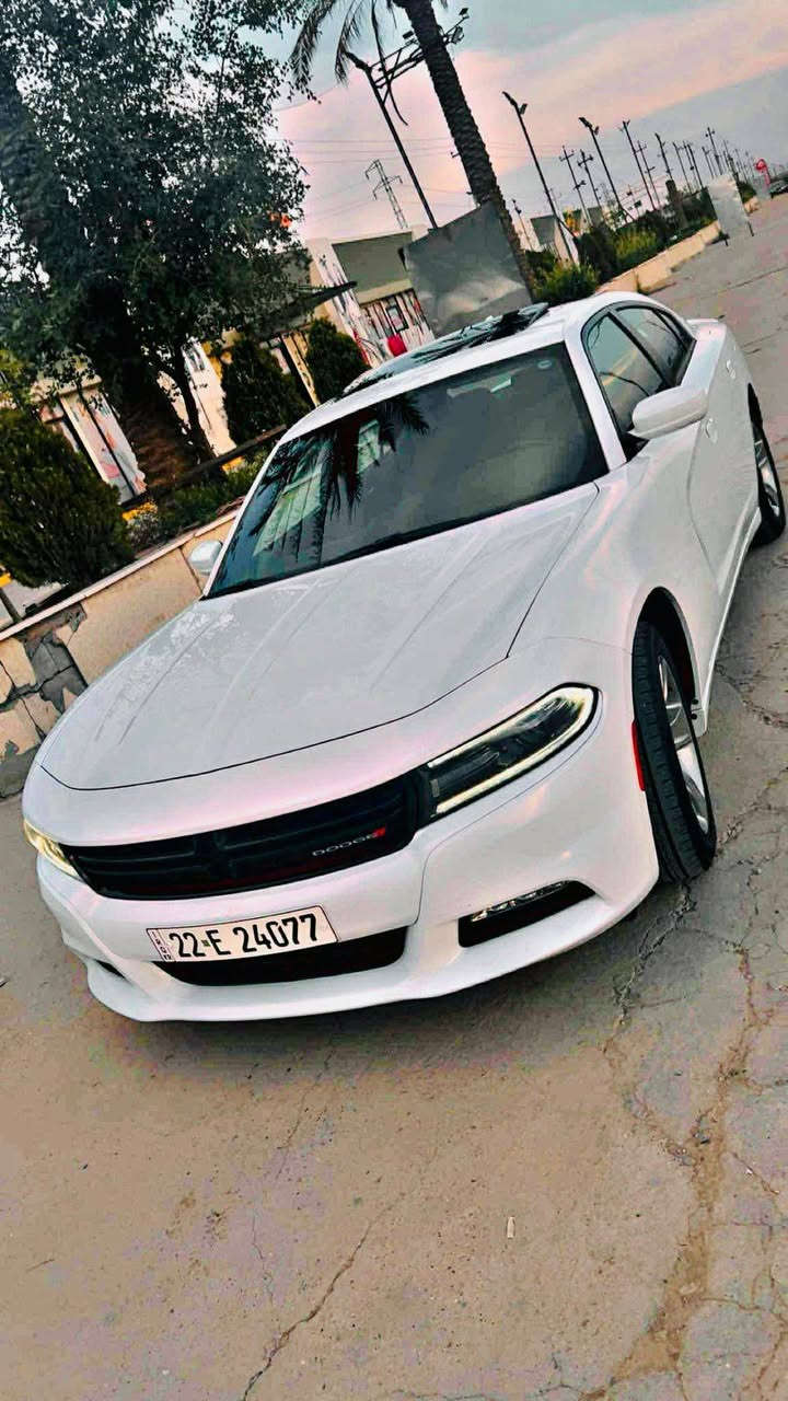 دۆج چارجەر 2018 مواسەفات SXT کلین تایتڵ 
مواسەفات ئەمریکی 
100 هەزار مایل ڕۆشتووە 
سەنەوی نوێیە تا 2029 
هیچ مەسرەفێکی تێدانیە 
زۆر پاک و خاوێن 
دەعامی بۆ دەعامی بەشەرت 

سـعـر : لە کۆمێنت داوابکە ڕاستەوخۆ بۆت دێت 📥 

گێر و مەکیەنەی بەشەرت 
هیچ کێشەیەکی تێدا نییە 

ژمارەی خاوەنەکەی 
***********
***********
