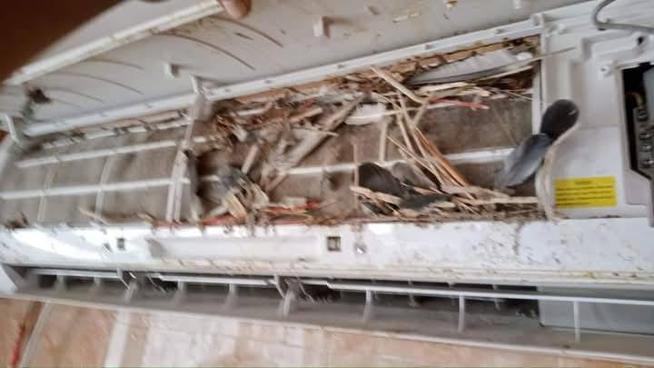 السلام عليكم 
بداية موسم خير انشاءالله
جوه السوك وضمان العمل 
ضمان موسم كامل
تصليح جميع انواع اعطال السبالت والمكيفات والعمل موقعي
تنصيب السبلت 35 الف
تنصيب الكنتوري 45الف
فتح السبلت 20 الاف
فتح وشد ومداور زائد غسل 75الف
غسل السبلت موقعي 25 الاف
غسل السبلت تفصيخ وتنزيل للكاع 35الف
غسل الكنتوري تفصيخ 45الف
فتح+غسل+مداور+شد 85الف للكنتوري
سبلتك معوز غاز شحنه 35 الف
سبلتك مابي ولا شوية غاز شحنه كامل 60 الف غاز فريوجت الفرنسي ضمان موسم كامل مع عمل فاكيوم
واحنه بلخدمة وين ماتكون نجيك وبنفس الدقيقة
غير متواجد ع الفيس رقمي *********** علي واتساب
***********حسين اتصال
تصليح جميع انواع الثلاجات والمجمدات بكل اصنافه اكيد مع الضمان عنوان الورشة النجف الاشرف حي الجزيرة شارع العكاشي مجاور حسينية الثقليين ورشة الاخويين
ايضأ نشتري جميع السبالت
