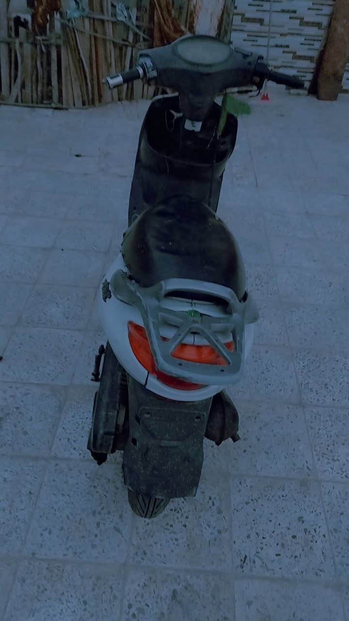 دولفيل للبيع والشعر خاص والمكان رميثه ورقم جهازي  ***********
