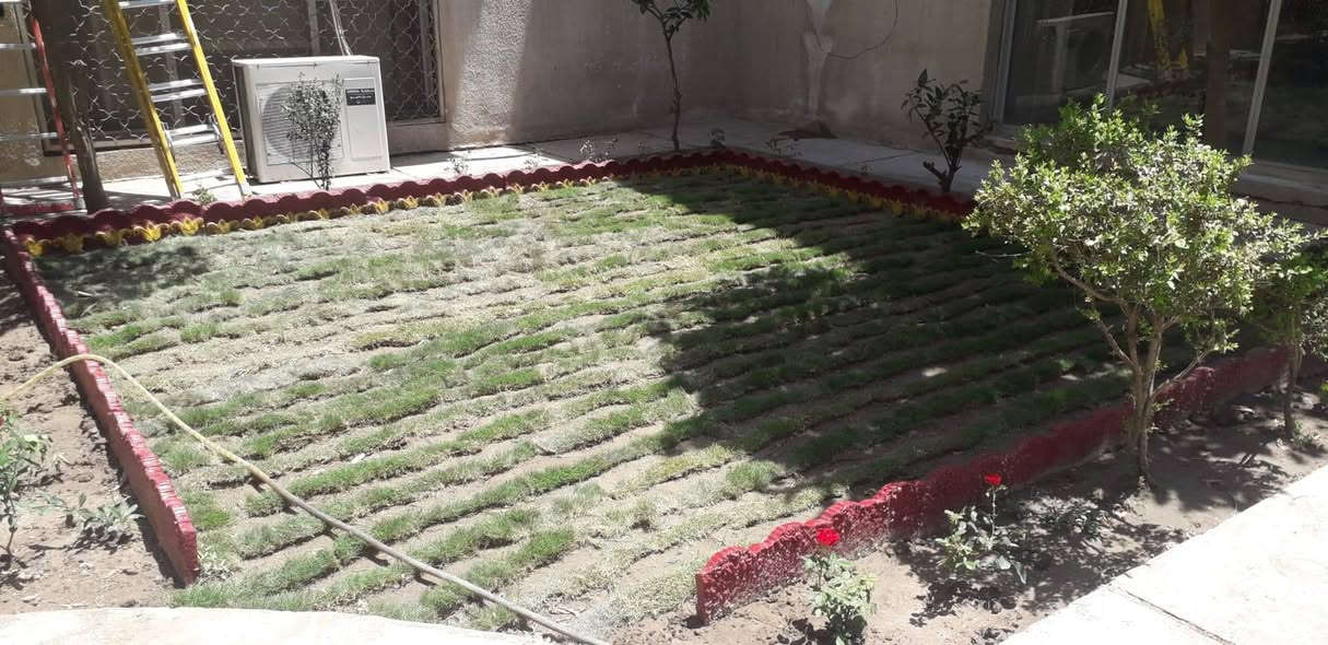 هندسة حدائق وعمل ديكورات ونصب منظومات التقطير ومرشات + متوفر كافة انواع فسائل النخيل والاشجار الدائمية والموسمية وانواع الثيل ..
للتواصل على الرقم *********** واتساب

للتواصل على الرقم *********** واتساب
