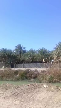 كربلاء الحسينيه • دونم • سند ٢٥