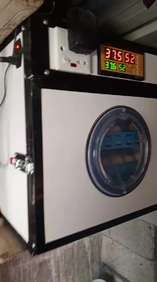 مفقس  140 بيظه البيع

 فول اوتوماتيك تقليب  مستخدم 3 أشهر
 سعر 350الف


**إذا كنت صاحب هذا الإعلان وتريد حذفه لأي سبب، رجاءا أرسل رسالة إلى الدعم الفني**