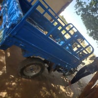 كلك للبيع هاذا 07834698879  السعر555