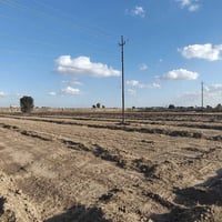 كاع دونمين 2 للبيع في قضاء ابو غريب شارع التله قرب جسر الأسود ع شارع ا...